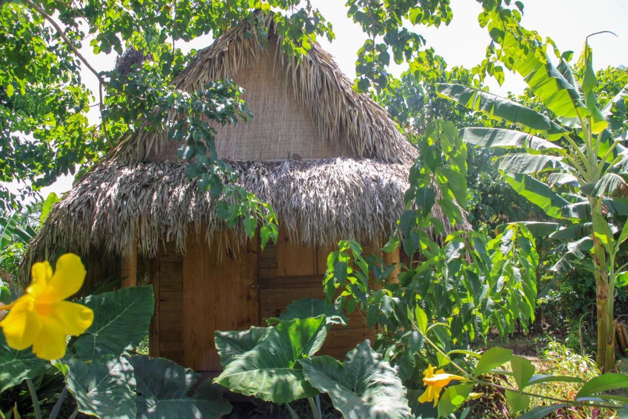 Samana Ecolodge Эль-Лимон Экстерьер фото