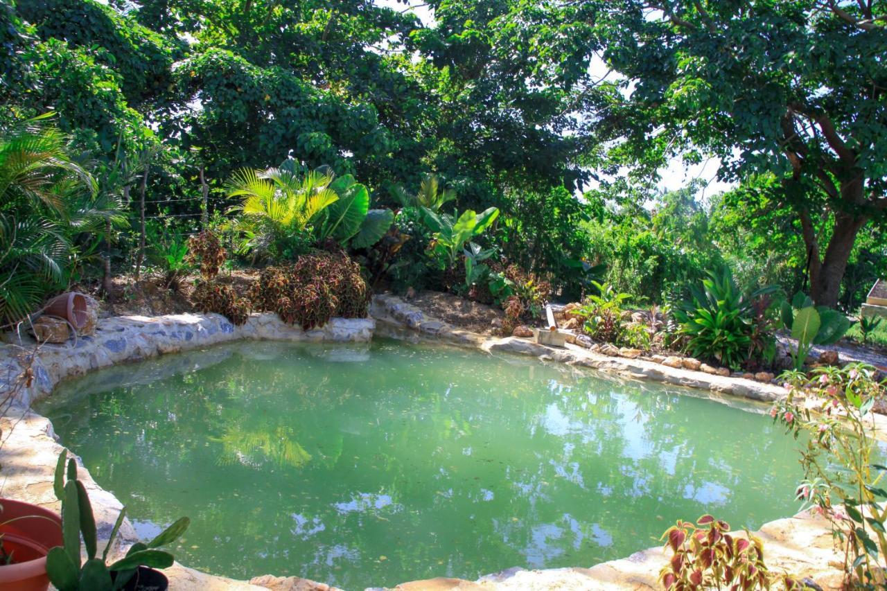 Samana Ecolodge Эль-Лимон Экстерьер фото