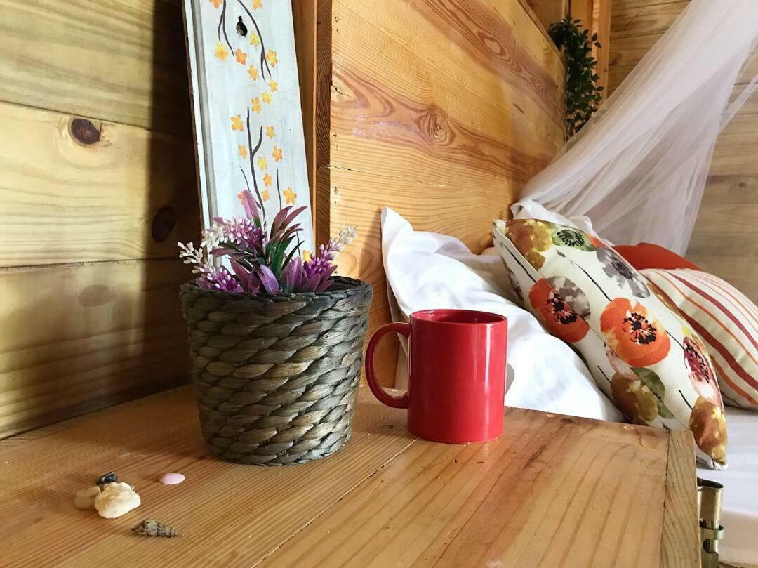 Samana Ecolodge Эль-Лимон Экстерьер фото