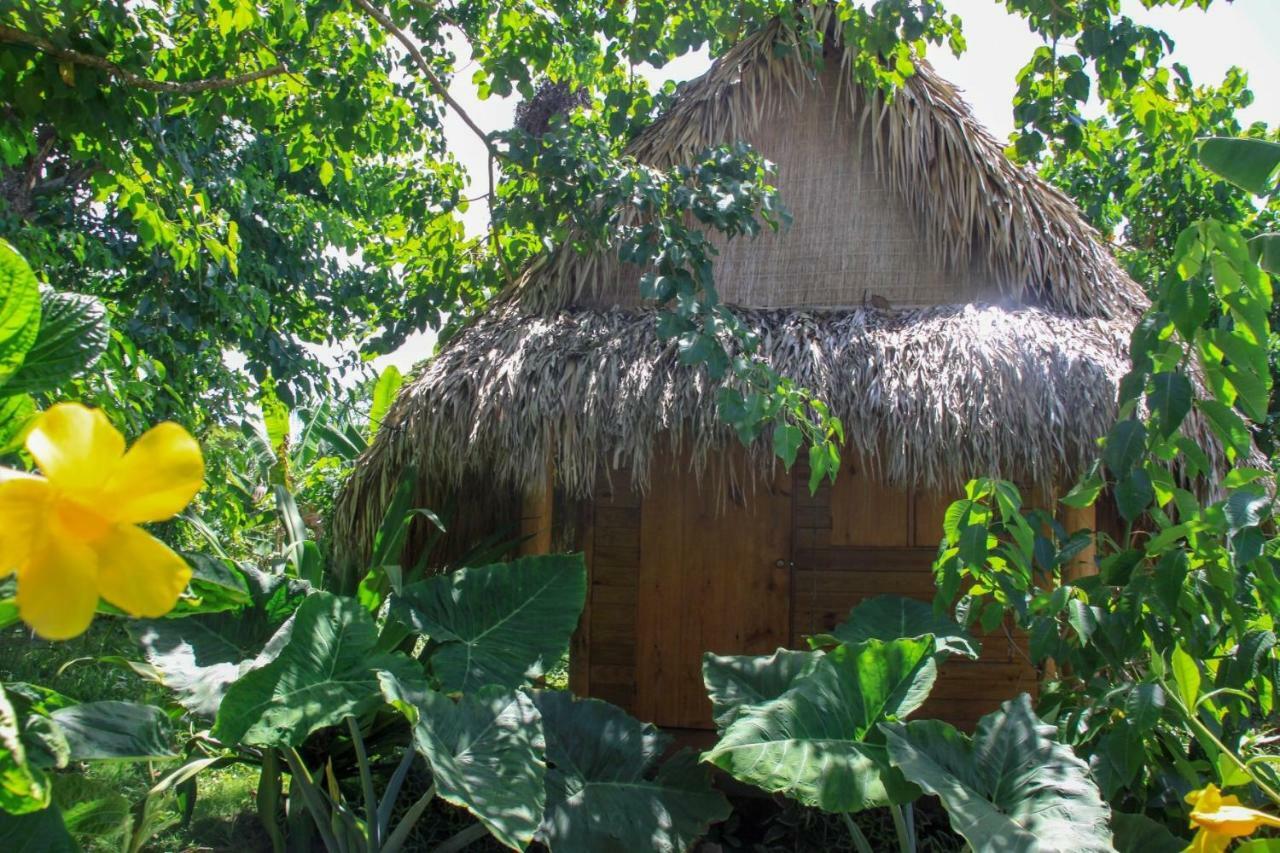 Samana Ecolodge Эль-Лимон Экстерьер фото