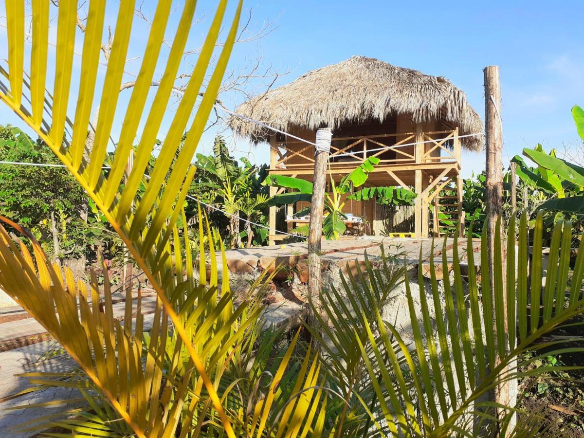 Samana Ecolodge Эль-Лимон Экстерьер фото