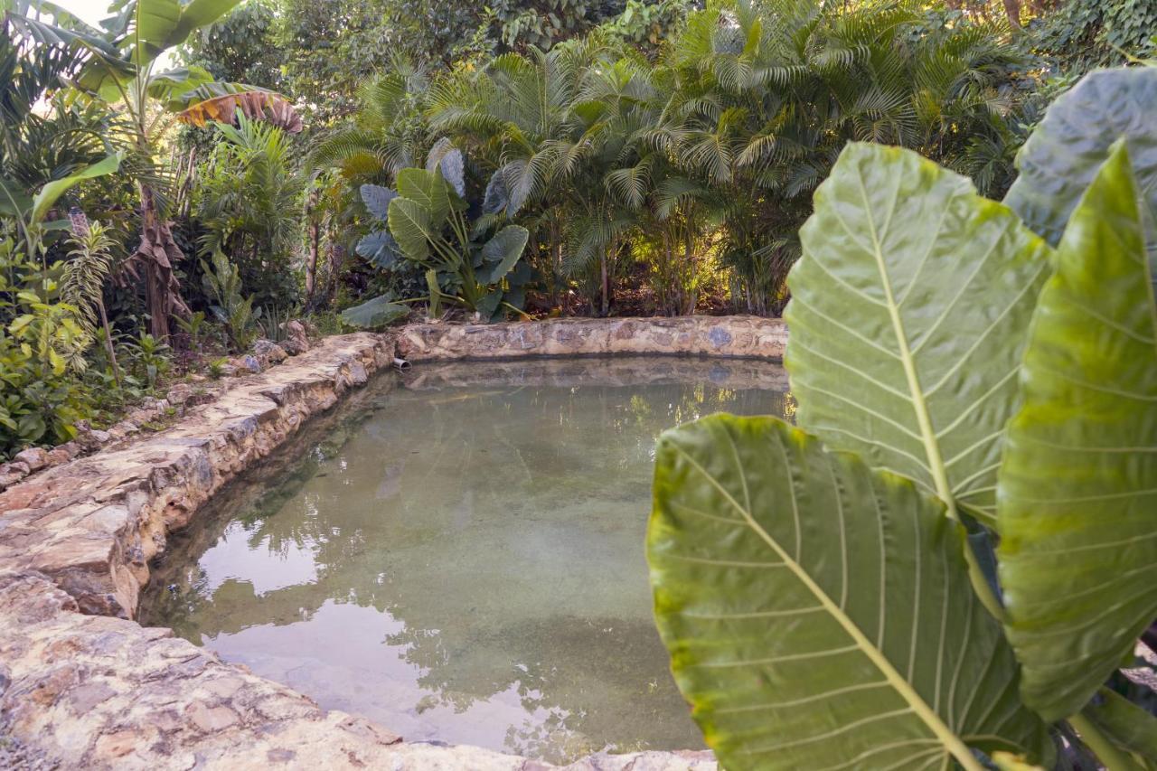 Samana Ecolodge Эль-Лимон Экстерьер фото