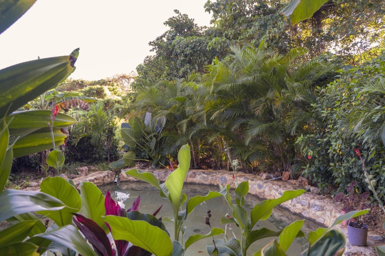 Samana Ecolodge Эль-Лимон Экстерьер фото